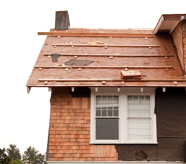 Affordable Siding Repair and Maintenance Services in Grabill, IN